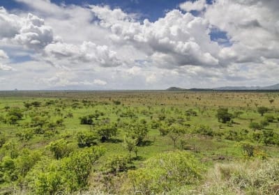 2-Day Pian Upe Game Reserve Adventure 2