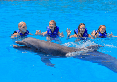 Family Cabo Dolphin Experience 2
