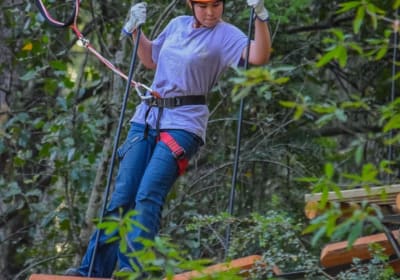 Pase Multi Aventura en Vórtice Park Curacautín 2