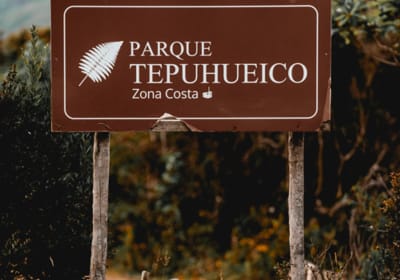 Entrada Preferencial Parque Tepuhueico Chiloé 2