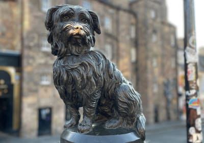 Edinburgh & Royal Mile Holiday Doughnut Tour 2