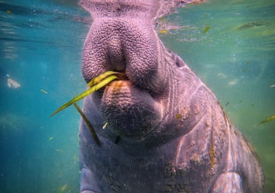 Florida Adventure Tour 2