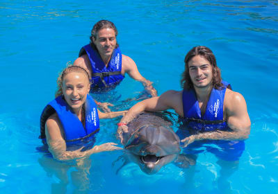 Swim with the Dolphins in Puerto Vallarta 2