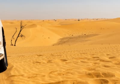 Experience the Best of Morocco on a 10-Day Tour from Casablanca 2