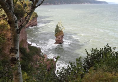 Hopewell Rocks Express Tour from Moncton 2