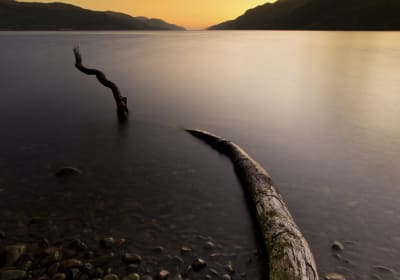Loch Ness and the Scottish Highlands Day Tour from Edinburgh 2