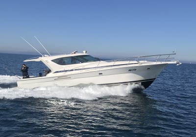 Party Boat Hire Melbourne 2