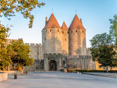 Sete Cruise Excursion to Carcassonne (private) - image 2