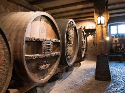 Wine barrels inside an Alsace winery cellar
