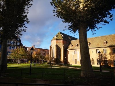 Private Alsace Highlights Tour Day Trip from Paris by Train - image 2