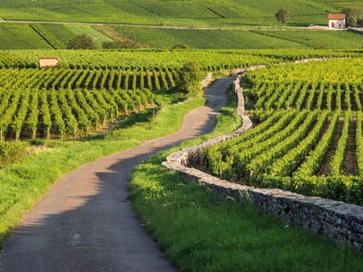 Private Burgundy wine tour Day Trip from Paris by train - image 2