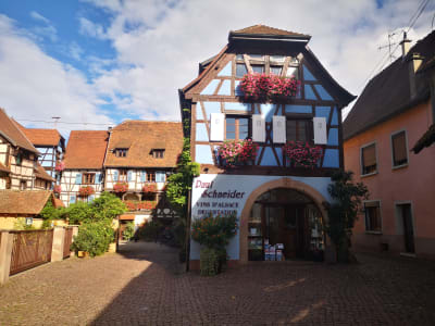 Hihglights of Alsace Private Tour from Colmar - image 2