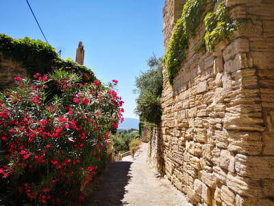 Historic stone streets of Gordes village explored during a Luberon villages tour