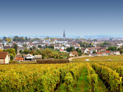 Historic wine village of Meursault in Burgundy’s Côte de Beaune