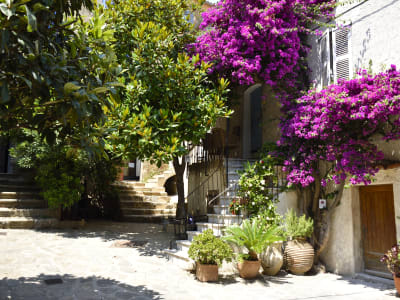 Saint-Tropez Cruise Excursion to Gassin & Ramatuelle  - image 2