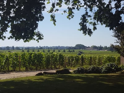 Private Bordeaux Wine Tour Day Trip from Paris by train - image 2