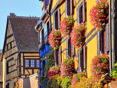 Highlights of Alsace From Mulhouse (private) - image 2