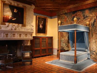 Chenonceau Castle A Half Day Trip from Tours (private) - image 2