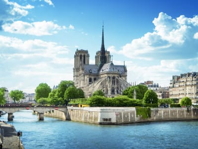 Seine River Cruise with Dinner Paris France (privilege) - image 2