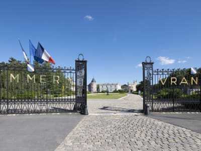 Champagne Tour visit 2 local wineries From Reims (shared) - image 2