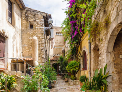 Saint-Paul de Vence Wine Tour HD Trip from Nice (shared) - image 2