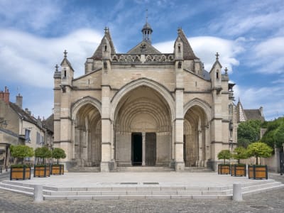 Full-Day Burgundy Wine Tour from Beaune (shared) - image 2