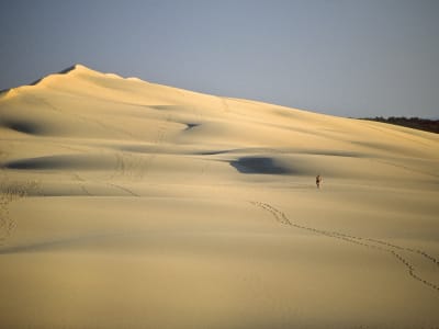 Panoramic view from the top of Dune du Pilat over the ocean and forest