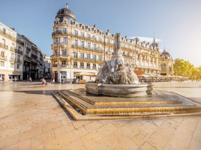 Montpellier Guided Walking Tour (private) - image 2