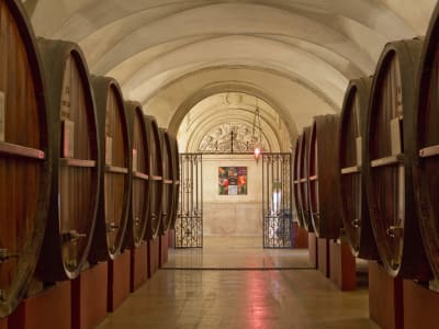 Beaune Guided Walking Tour (private) - image 2