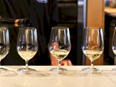 Line of wine glasses filled with white wine being poured at a tasting counter