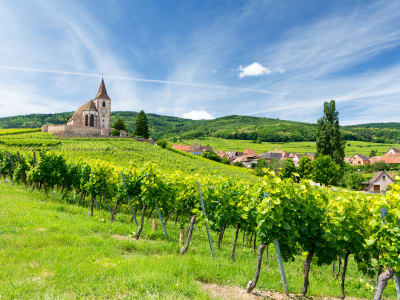 Small chapel overlooking vineyards and a village in the Alsace countryside