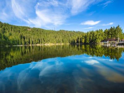 Still waters of Mummelsee reflecting pines and blue sky in the Black Forest