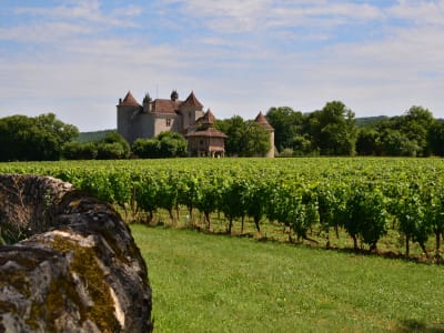 Cahors vineyards stretching towards a historic château in the scenic Lot Valley