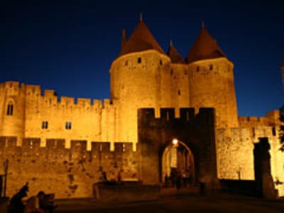 Carcassonne Guided Walking Tour (private) - image 2