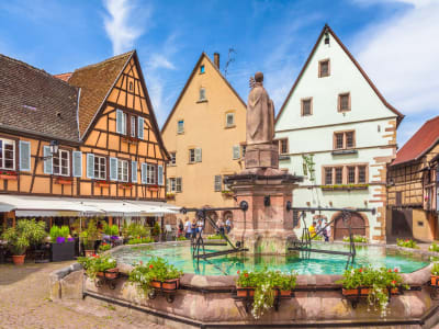 Colorful half-timbered houses in an Alsace village visited on a small group day trip from Strasbourg