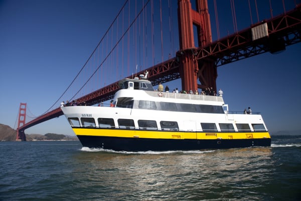 San Francisco Bay Cruise & Double Decker Night Tour
