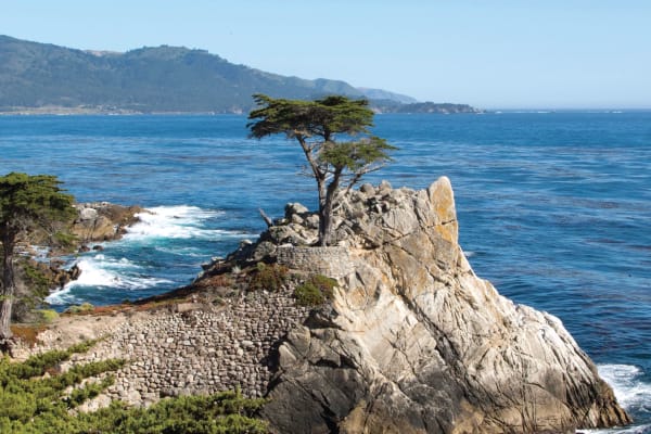 Monterey & Carmel Coastal Adventure