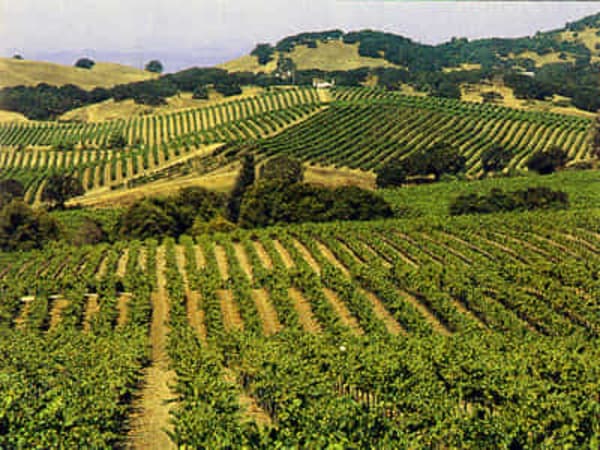 Wine Country Tours