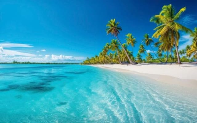 Punta Cana: Catalina Island Snorkeling Tour with Lunch