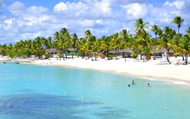 Saona Island Full-Day Tour with Lunch from Punta Cana