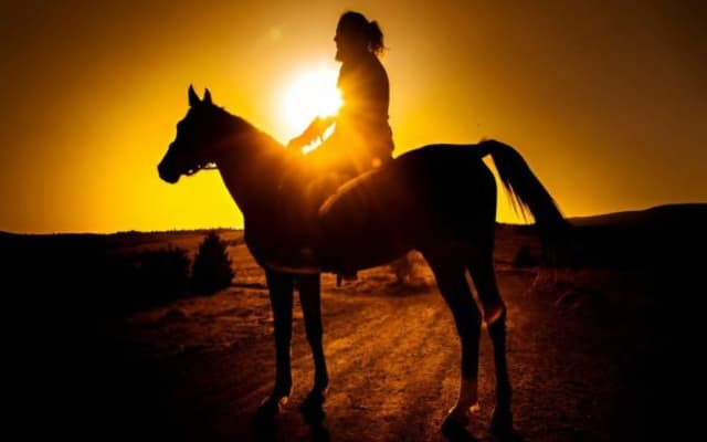 Punta Cana: Sunset Horseback Ride in Macao Beach and Forest