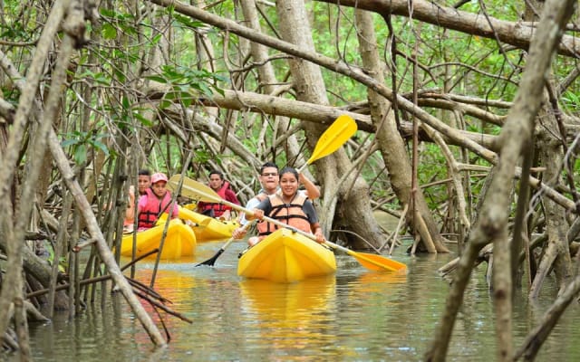 Los Haitises All One: Kayaking, Hiking, Boat, and Swimming