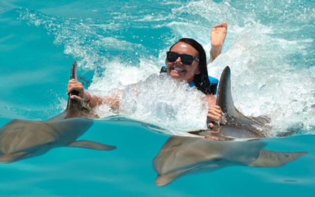 Punta Cana: Dolphin Discovery Swims and Encounters