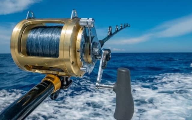 4 Hour Deep Sea Fishing Experience From Punta Cana