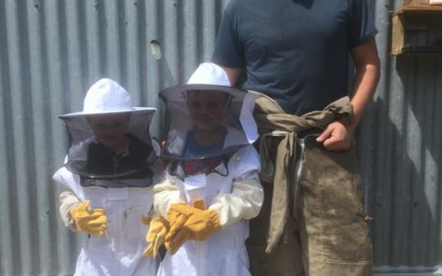 Hands-On Beekeeping and Honey Extraction Experience