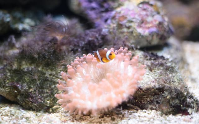 Underwater World Langkawi