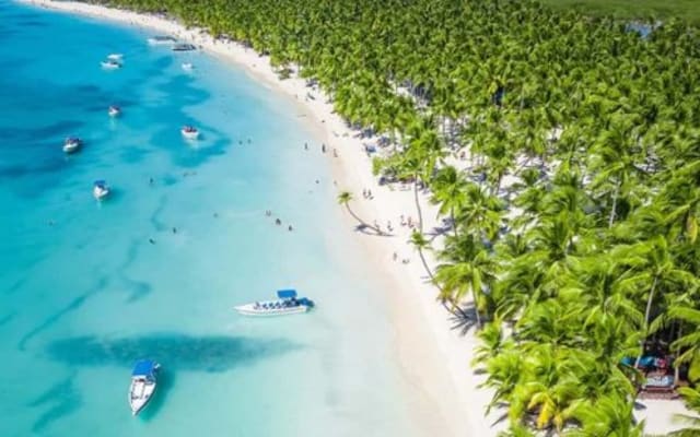 Saona Island: Beach & Natural Pool Small-Group Tour w/ Lunch
