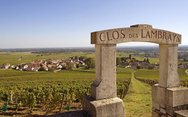 Côte de Nuits Half-Day Wine Tour from Dijon - Small Group