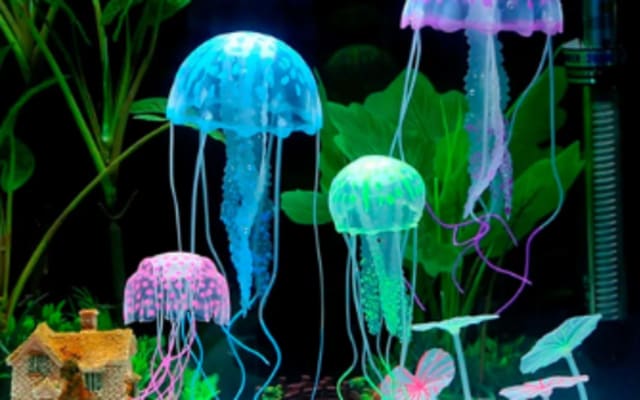 Explore Marine Wonders: National Aquarium Abu Dhabi.