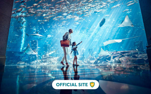 One-Day Aquarium Pass